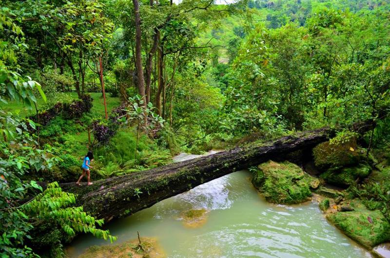 1235162_10152252260159148_1488845749_n