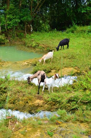 1235199_10152252251149148_56672700_n