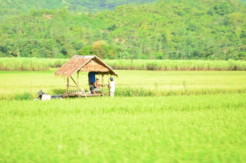 557798_10152252223749148_1026041139_n