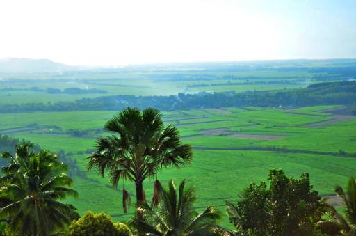 601062_10152252233824148_1112468704_n