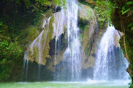 954817_10152252298189148_170547429_n