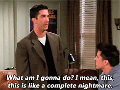 tumblr_nkpnfhC07H1scqzaao1_250