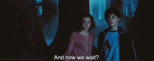 tumblr_n0wn0wq0YD1sfoav0o1_500