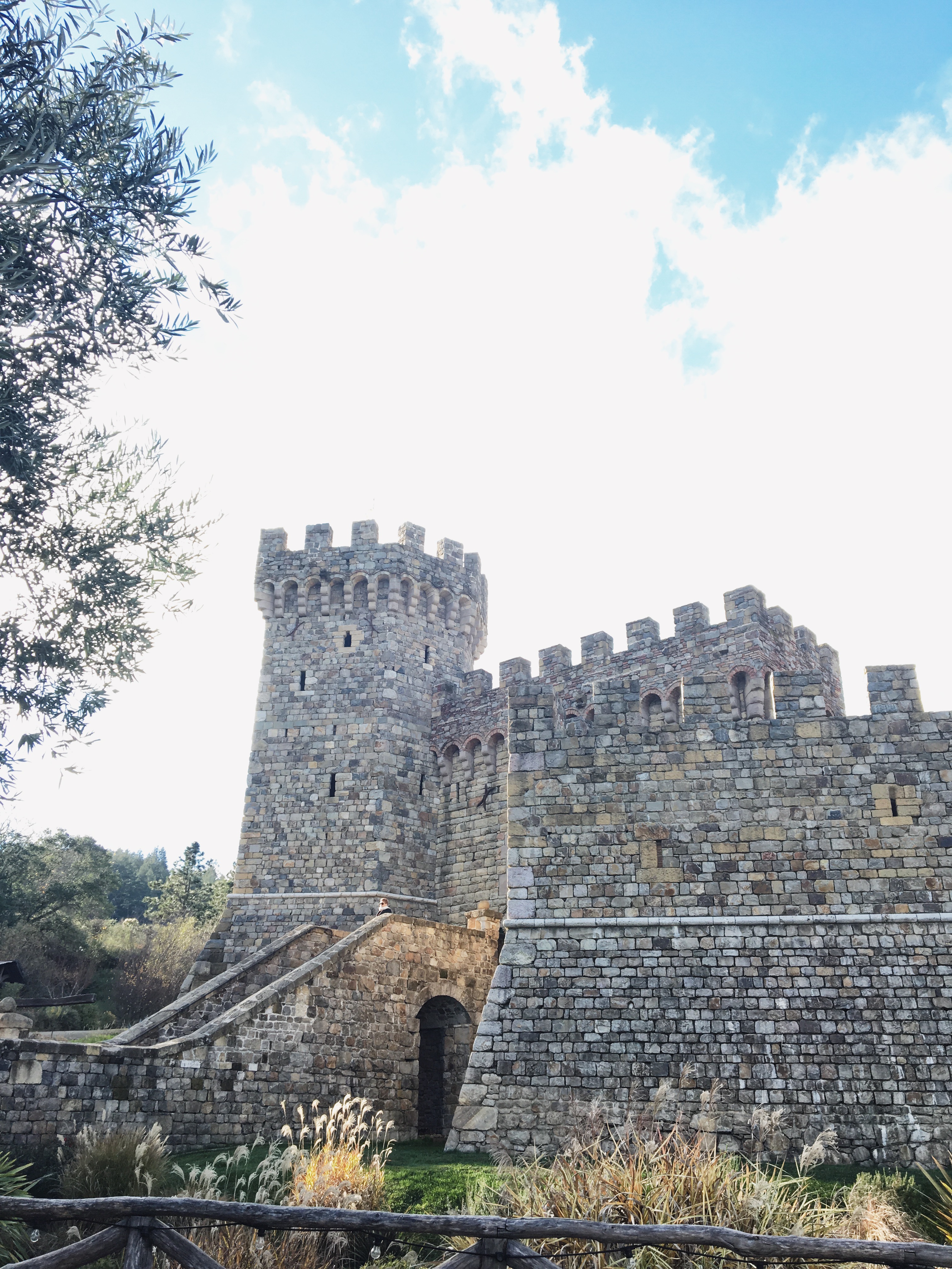 Processed with VSCO with s2 preset