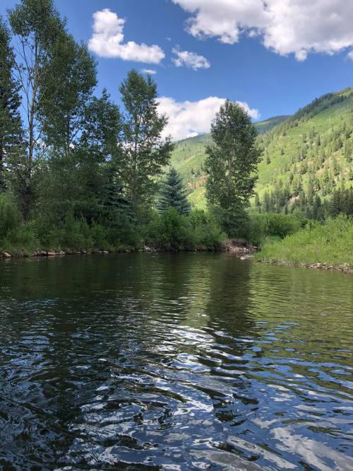 36745628_10155548730283639_150717063910916096_n