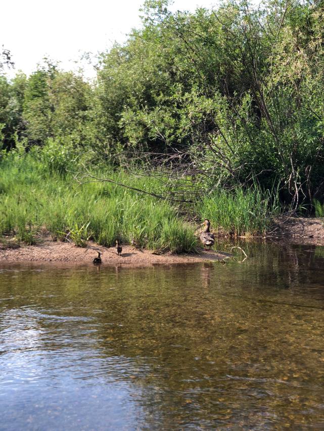 36758532_10155548729903639_6585106186792599552_n