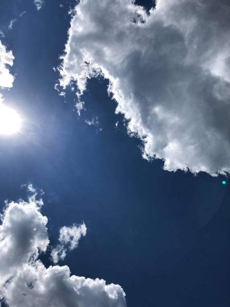 36763932_10155548729888639_5813304970337845248_n