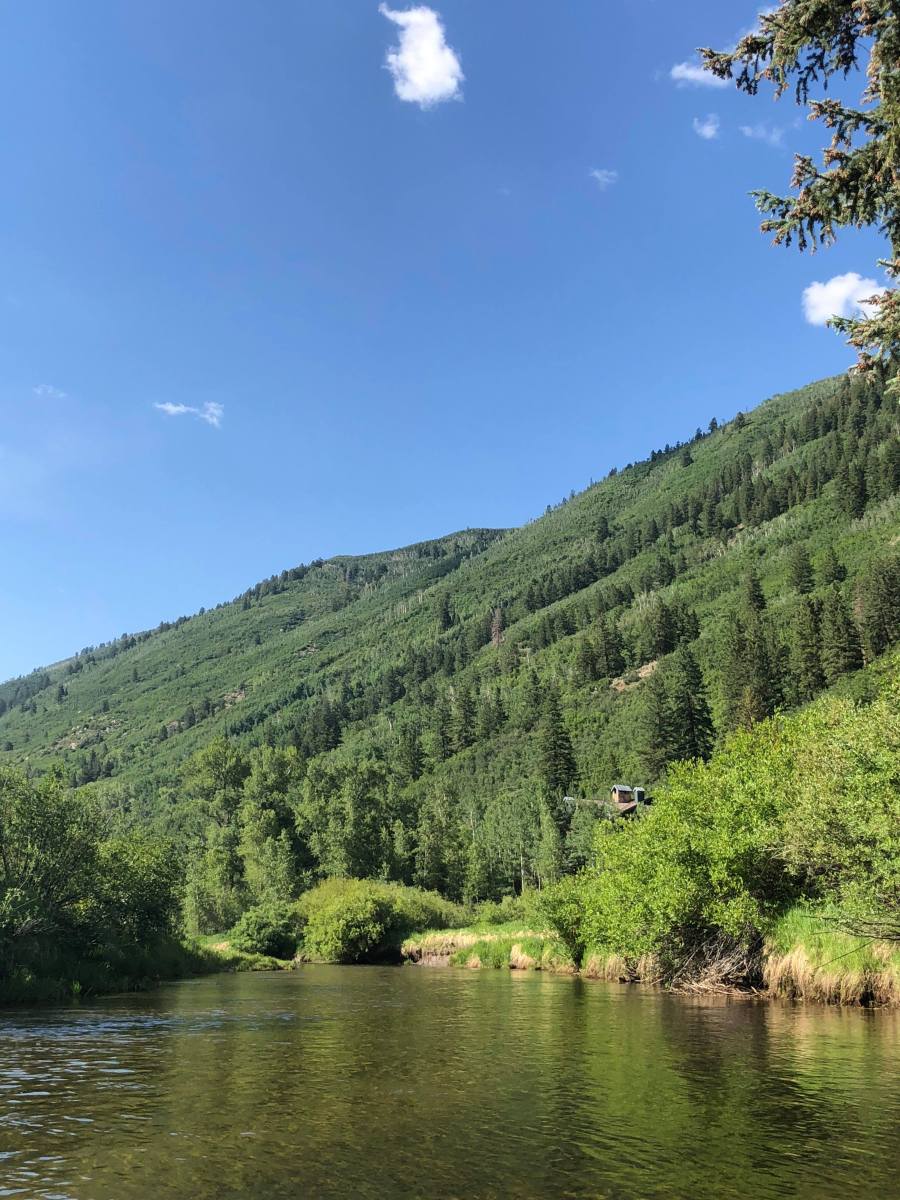 36773146_10155548729958639_7491611360199966720_n