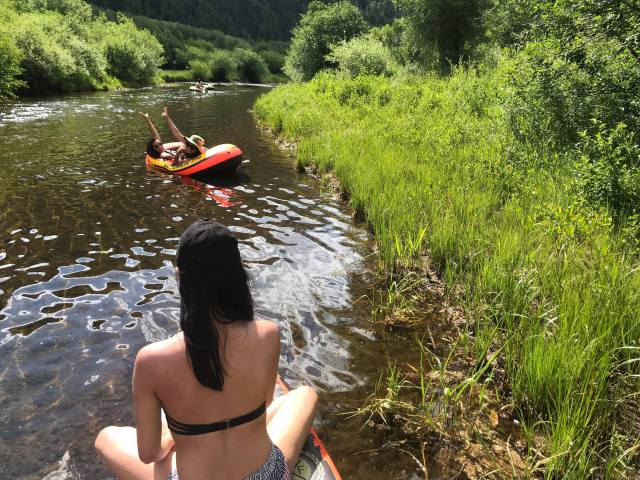 36791128_10155548729873639_8023487255299489792_n