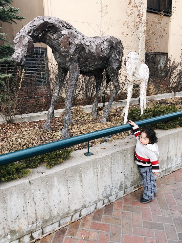 46882602_10155859647893639_1955029801303539712_n