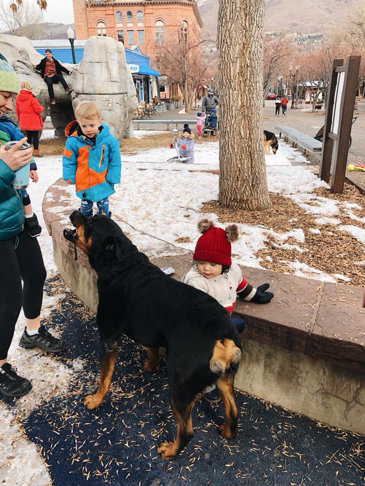 46906614_10155859648208639_6730828564515520512_n