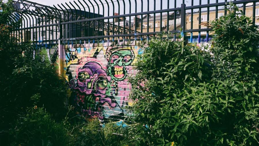 57821866_2545760515452755_2157311559670431744_n