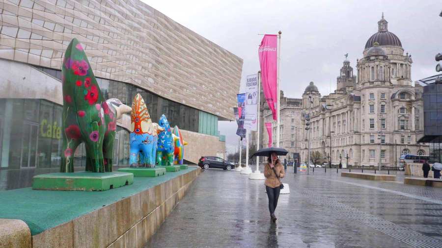 58019478_10156158669223639_8050696667688599552_o