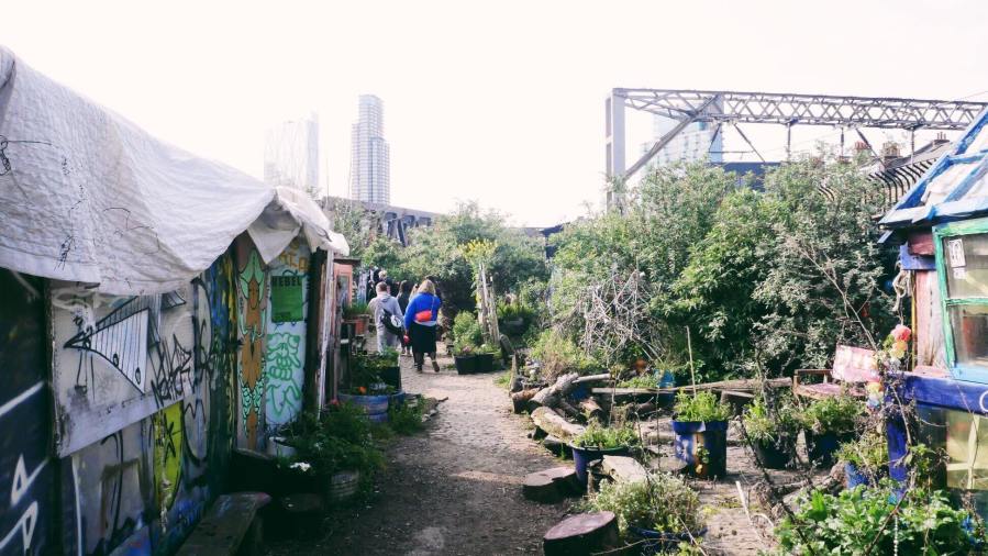 58374410_2672707509469304_7539404635283390464_n