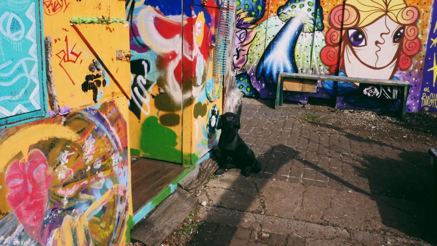 58378167_347329042432552_4349225557720825856_n