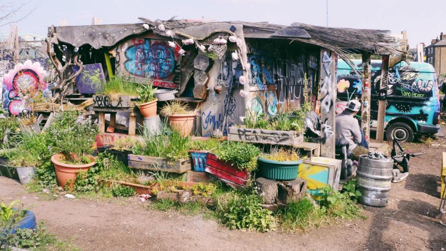 58380231_298288161048539_7163974981230002176_n