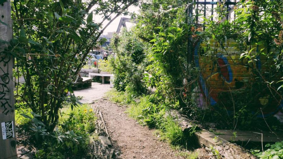 58922483_3229574533735088_7035165561948471296_n