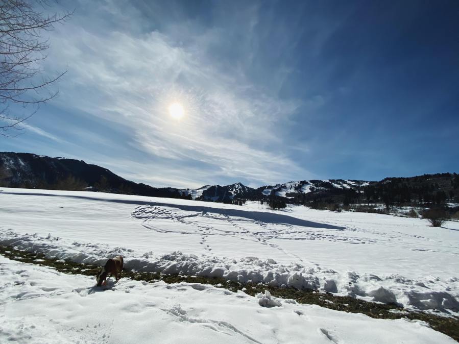 77088853_623538208390733_4704315221617934336_n