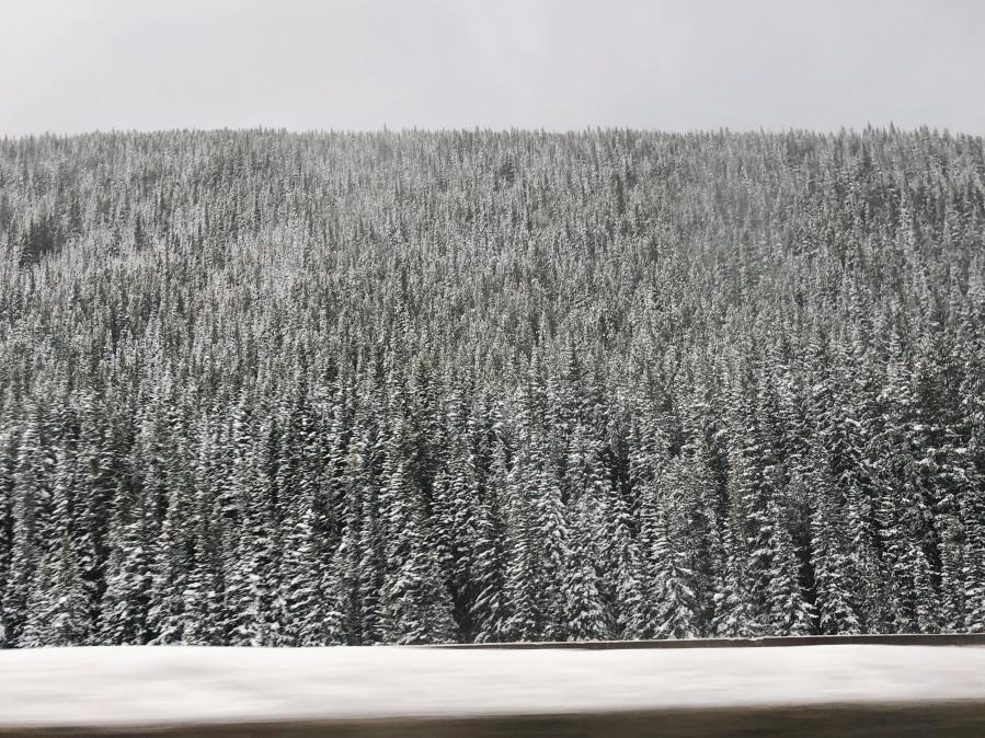 74328320_270481347169332_5699024330202021888_n