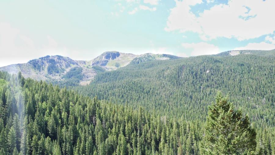 69030331_482746665851663_2748936046199701504_n