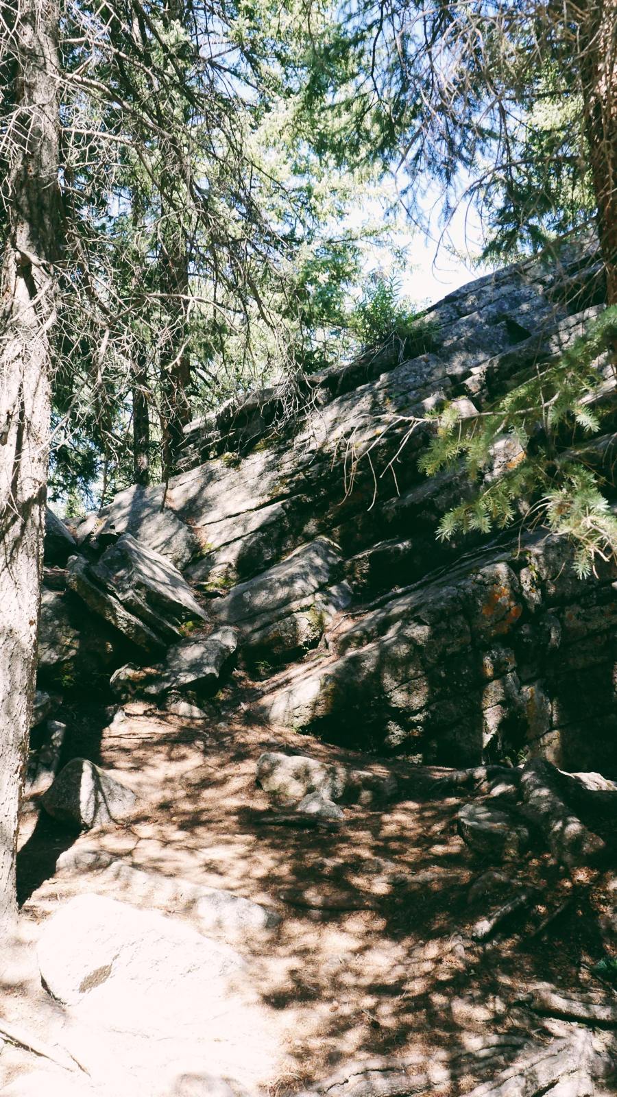 68887281_864581497260316_1254830302467981312_n