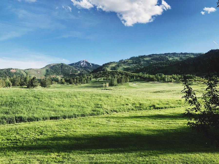 64299835_2846786768880837_4111075539622559744_n