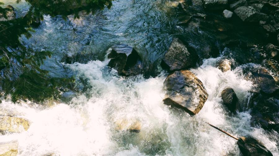 69297701_417917925488366_8677989015070179328_n