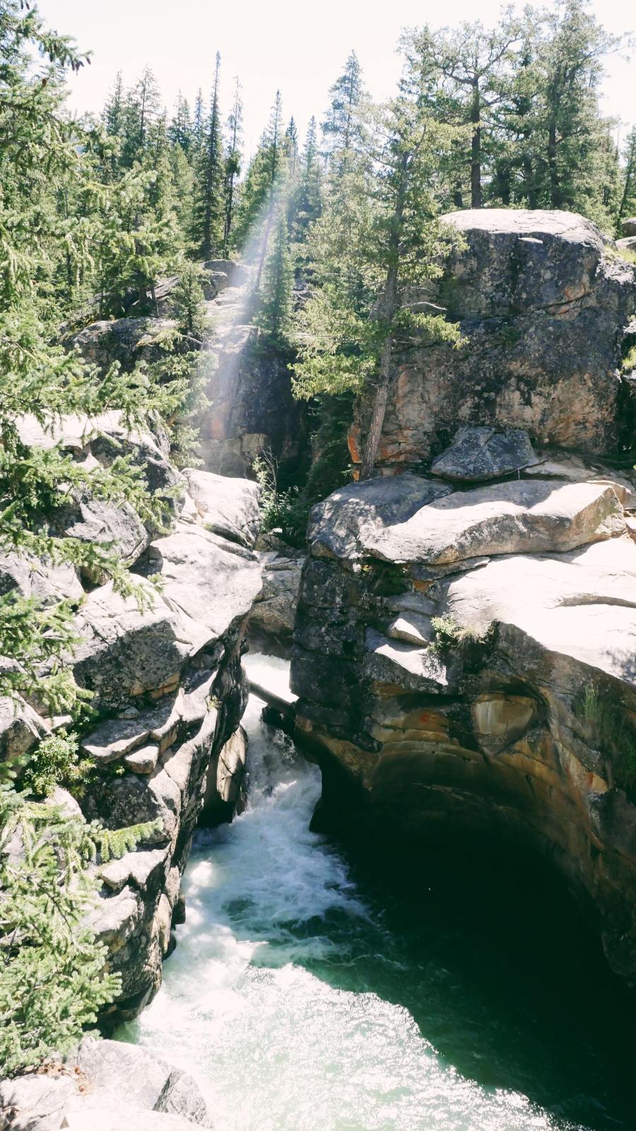 69764287_875222716181923_1342560262233784320_n