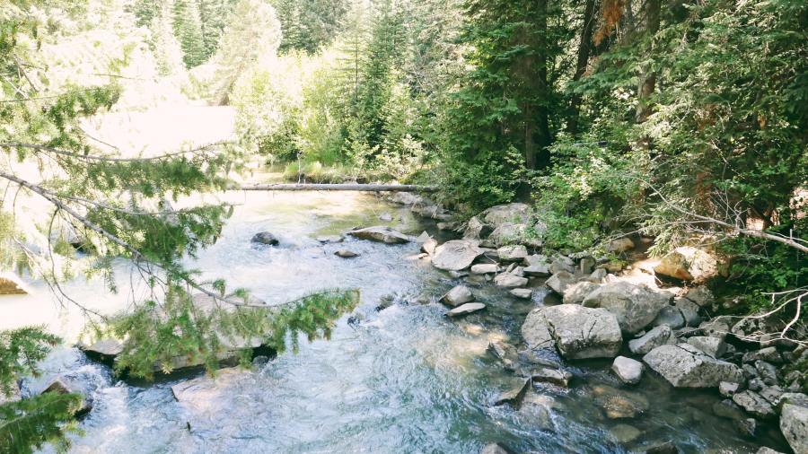 69419851_3014178055474274_7650616366667399168_n