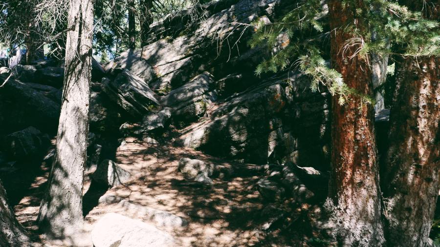 68932733_470293783549142_8487884996520968192_n